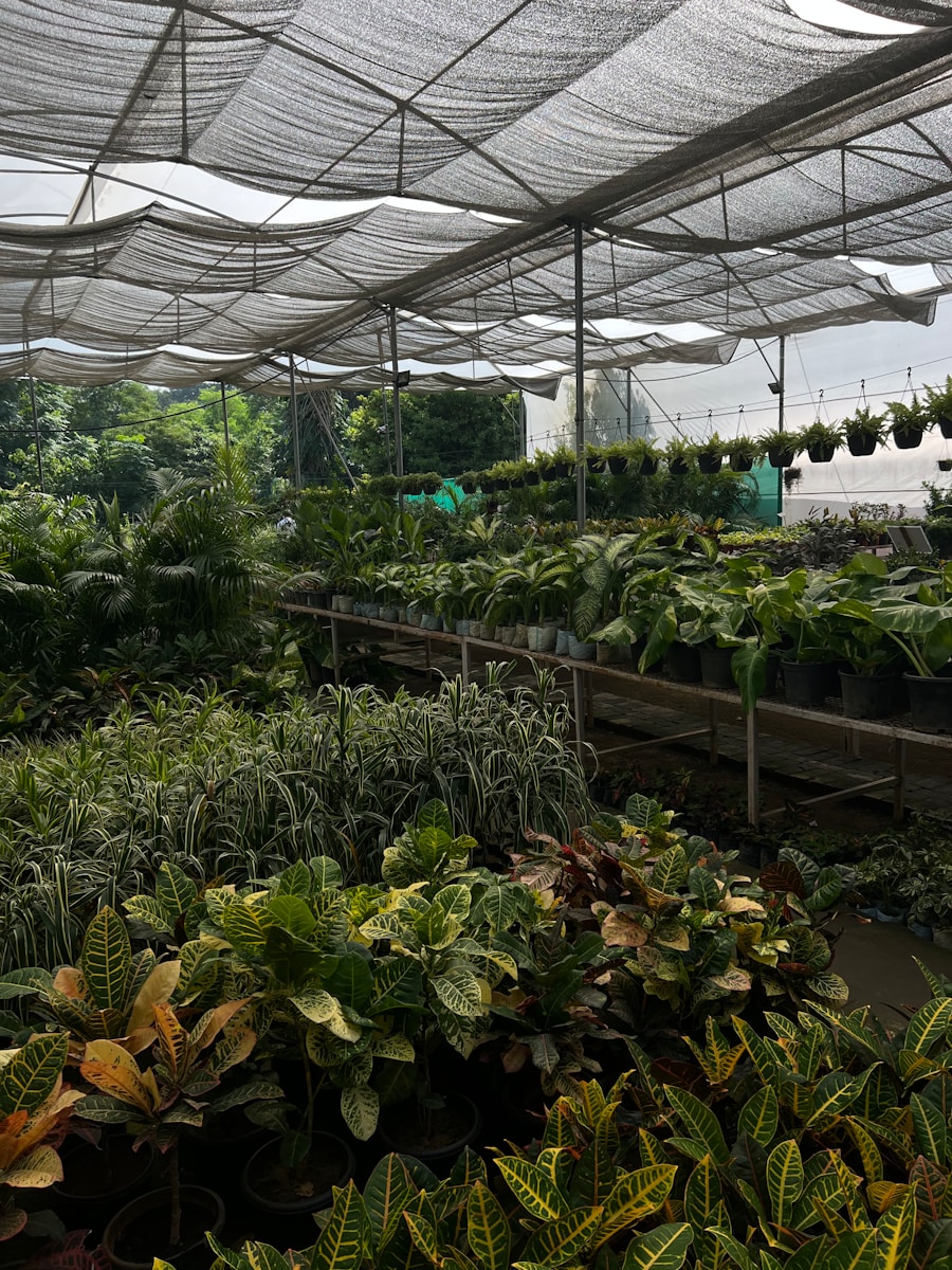 Organic food health benefits,  Why choose organic , Organic food nutrition 